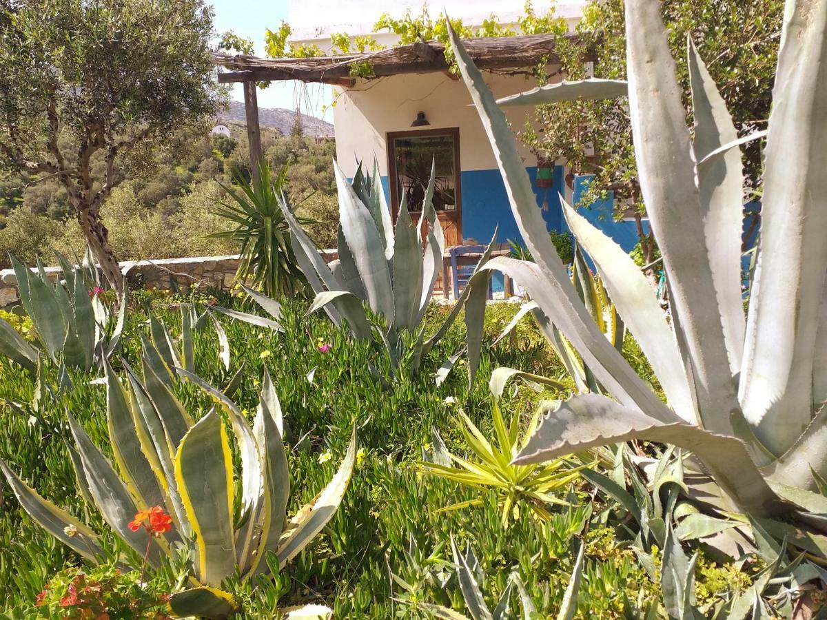 فيلا Saveriako, Paradise For Relaxed Free Spirits Agia Pelagia Kythira المظهر الخارجي الصورة